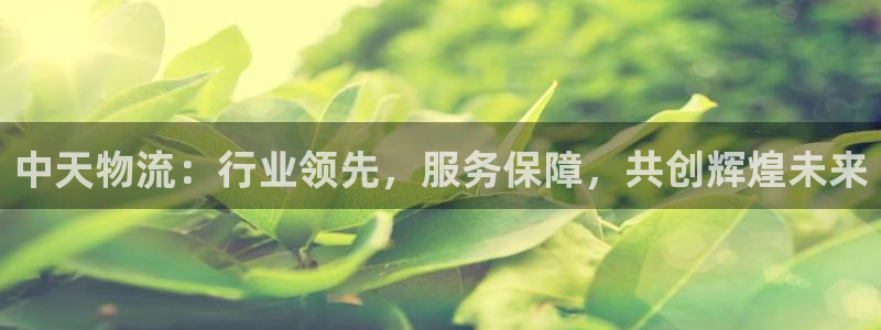 超凡国际技巧：中天物流：行业领先，服