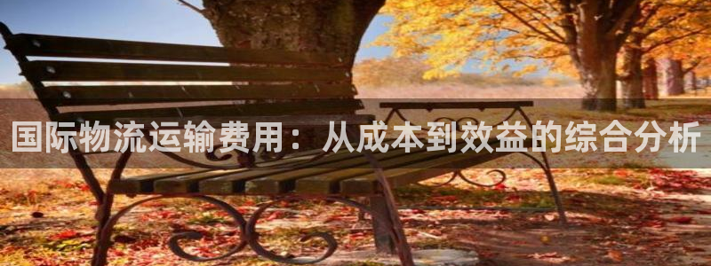 超凡国际官网入口app：国际物流运输