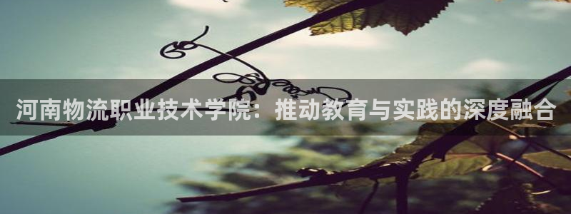 超凡国际官网开奖结果预测：河南物流职