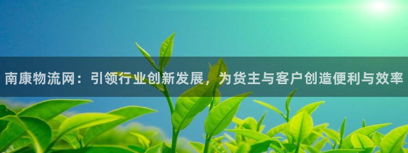 超凡国际模拟：南康物流网：引领行业创