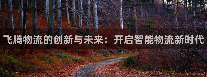 超凡国际如何看012路计划：飞腾物流