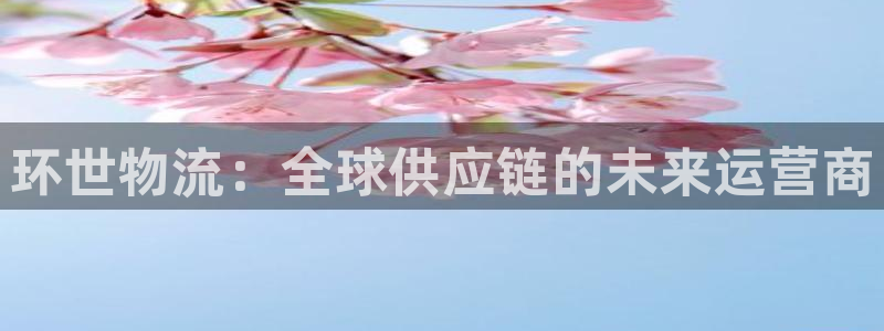 超凡国际软件：环世物流：全球供应链的