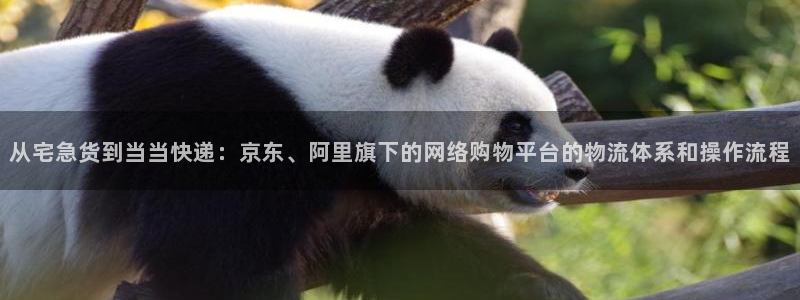 超凡国际提款一直没到：从宅急货到当当