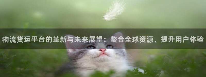 加拿大超凡国际数字规则：物流货运平台