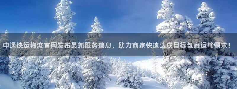 超凡国际ip被限制怎么解决：中通快运物流官网发布最新服务信息