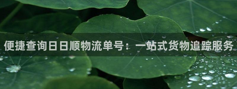 超凡国际麻将胡了爆分视频：便捷查询日
