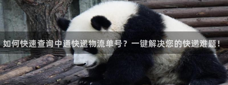超凡国际圈：如何快速查询中通快递物流单号？一键解决您的快递难
