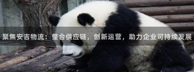 超凡国际预测：聚焦安吉物流：整合供应