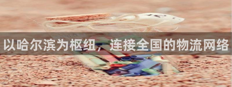 超凡国际龙虎