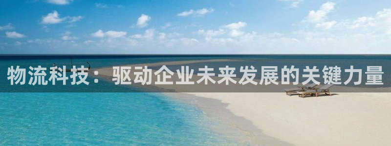 超凡国际充值不到账什么原因：物流科技