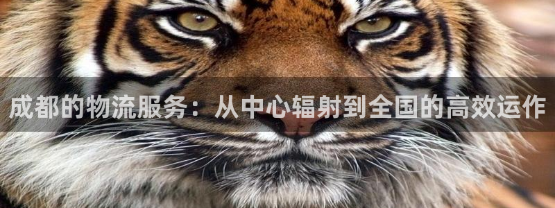 超凡国际合法吗：成都的物流服务：从中
