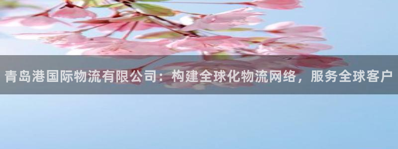 超凡国际为什么打不开：青岛港国际物流