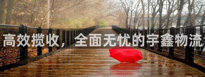 超凡国际娱乐官网网页下载：高效揽收，全面无忧的宇鑫物流