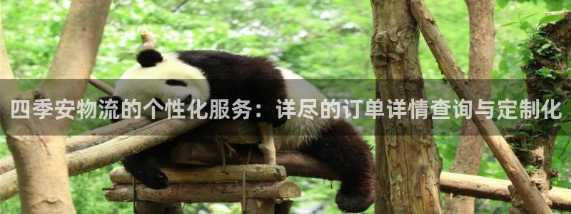 超凡国际加拿大app预测：四季安物流
