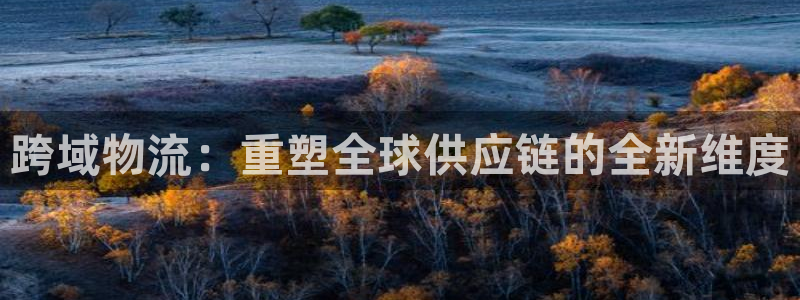 超凡国际登录不上咋回事：跨域物流：重