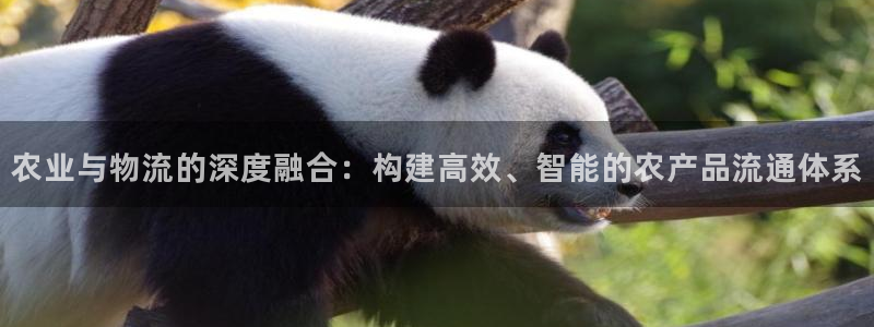 超凡国际官网下载多少钱：农业与物流的