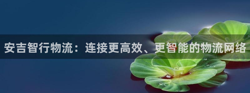 超凡国际分分压单双技巧：安吉智行物流