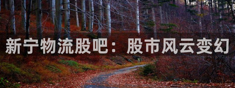 超凡国际注册：新宁物流股吧：股市风云