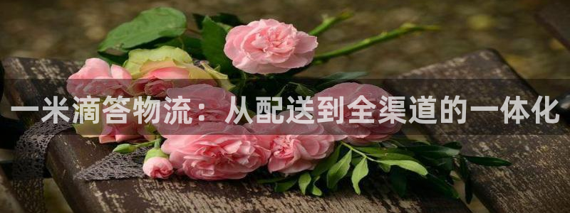 超凡国际官网平台：一米滴答物流：从配