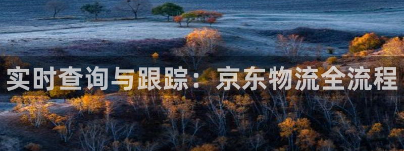 超凡国际登录不上咋回事：实时查询与跟踪：京东物流全流程